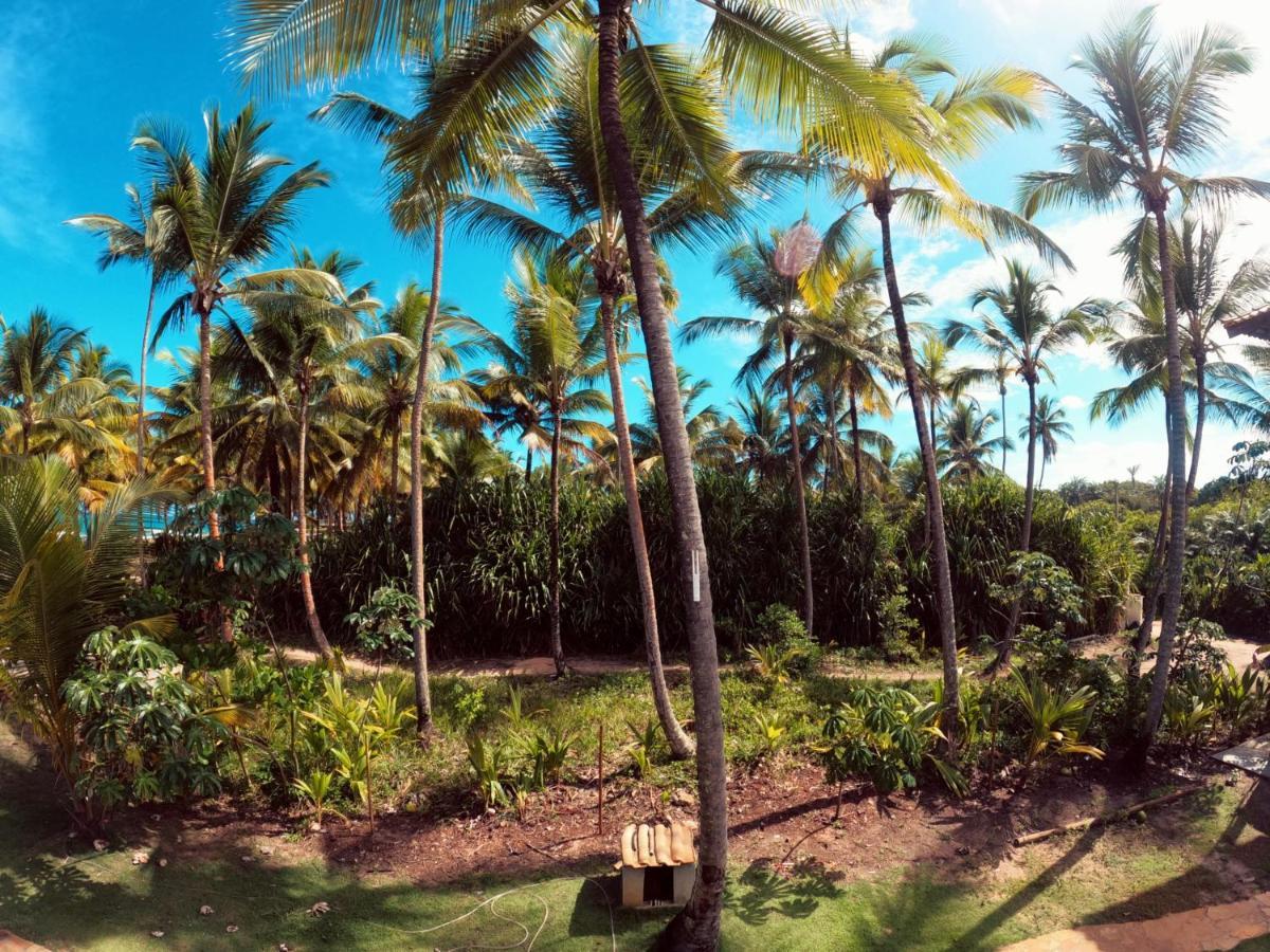 Bangalo Patua Apartment Barra Grande  Luaran gambar